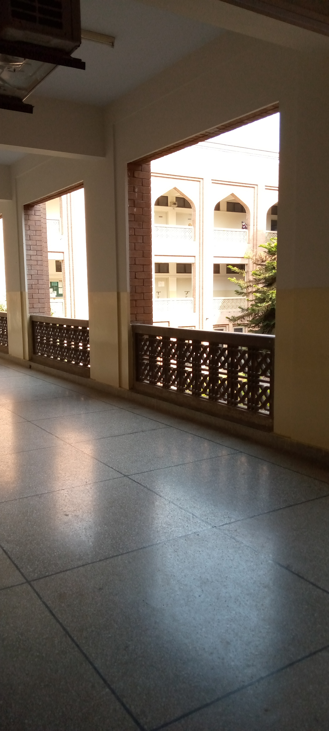 Anastasiya Gushchina丨教育建筑丨class activity II-0