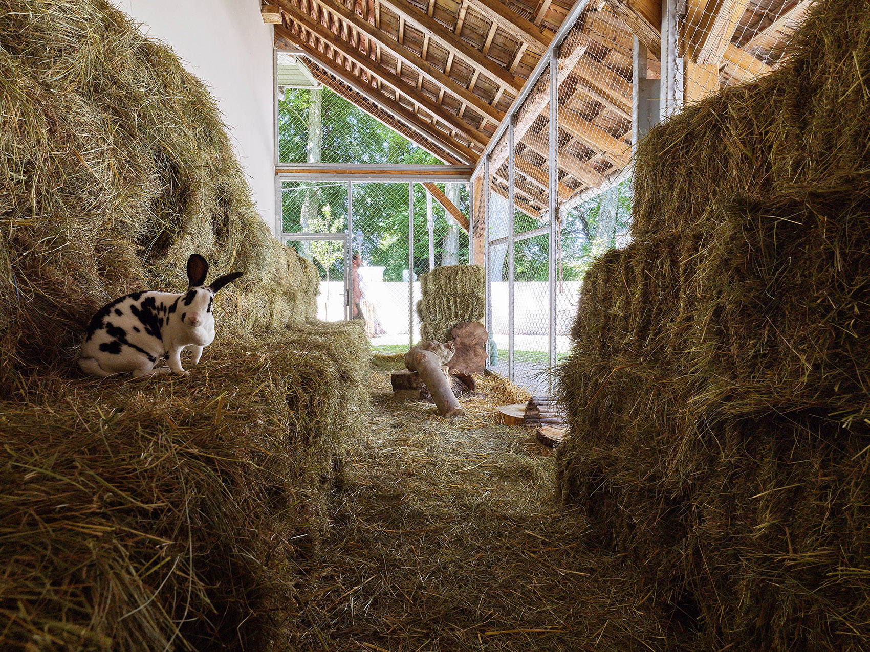 斯特拉斯堡动物园教学农场改造&游客中心,法国 / FREAKS-41
