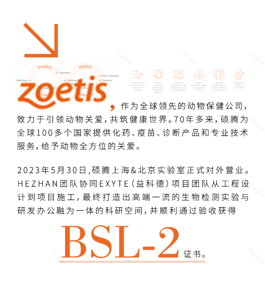 硕腾Zoetis上海&北京检测实验室丨中国上海丨合展设计营造-1