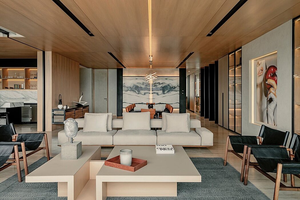 巴西利亚顶层公寓丨墨西哥墨西哥城丨Taller David Dana-2