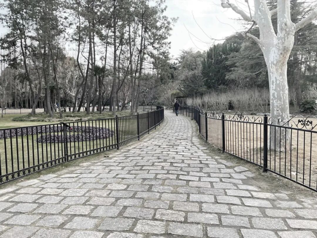 中国园林·理事专栏|“拓”之力量：杨浦公园改造纪实(三)-174