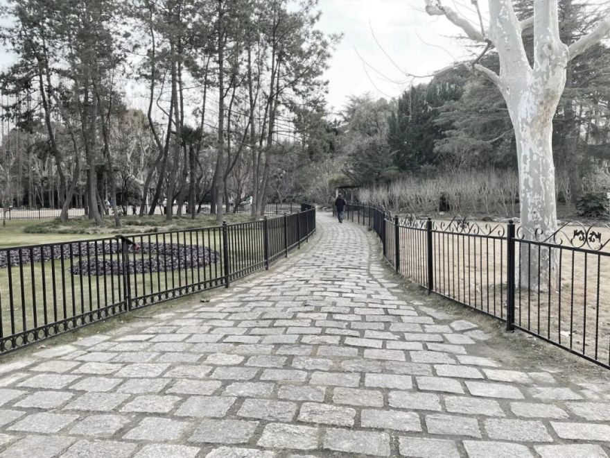 中国园林·理事专栏|“拓”之力量:杨浦公园改造纪实(三)-174