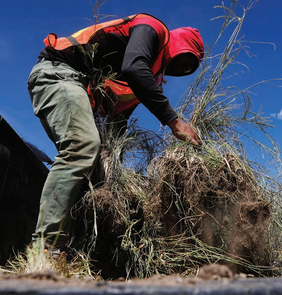 麻省理工科技评论：世界最大烂尾机场的再野化之路-112