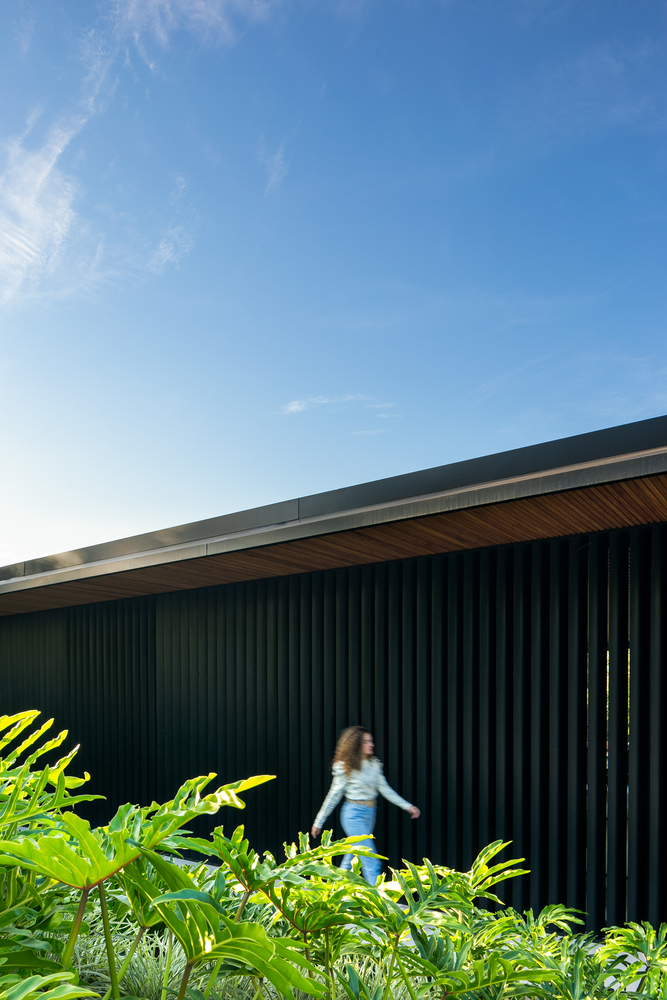 融入自然的现代绿意住宅丨巴西圣保罗丨Belluzzo Martinhao Arquitetos-40