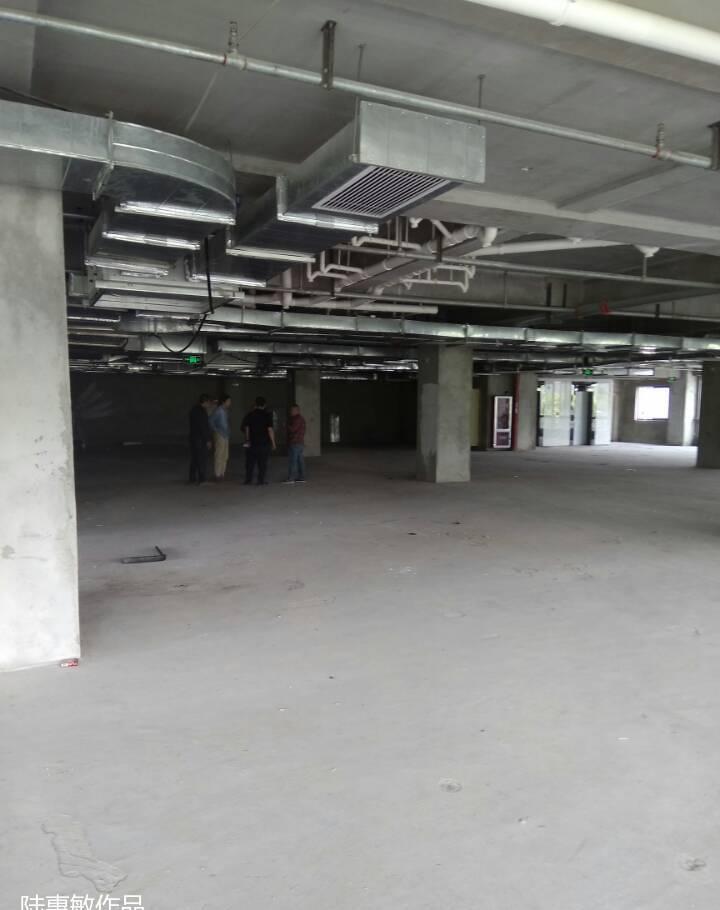 
大牧飞沙，环岛纯绿色植物1000平饭店设… -11