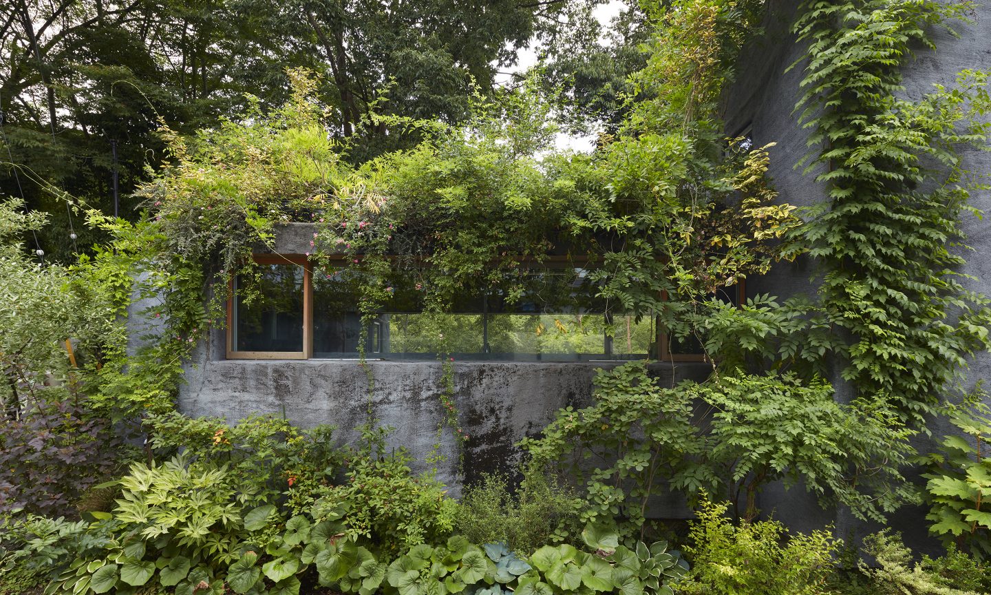 飯能の小屋  Suppose Design-3