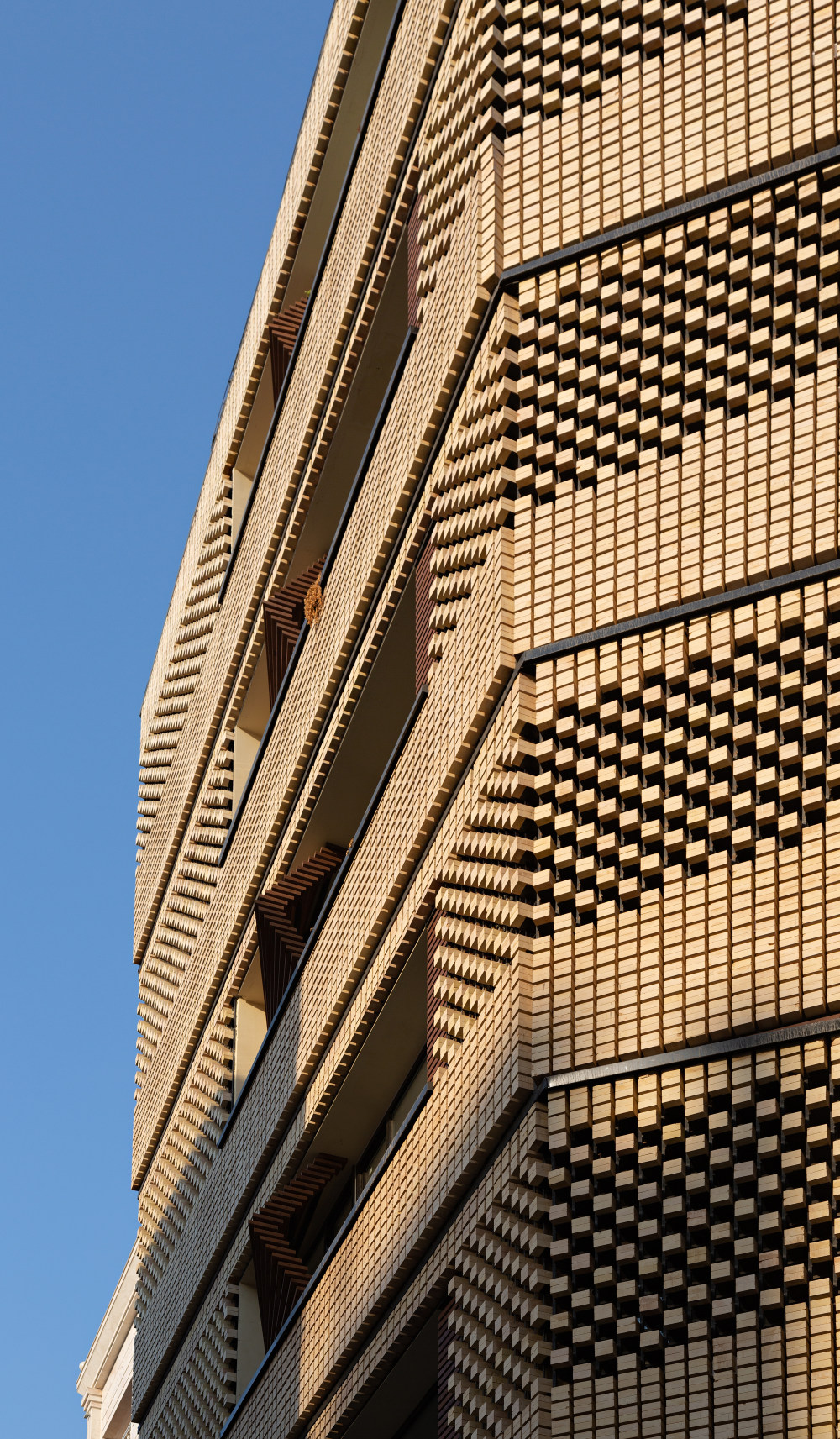 伊朗德兹富尔住宅区设计丨BioDesign Architects-29