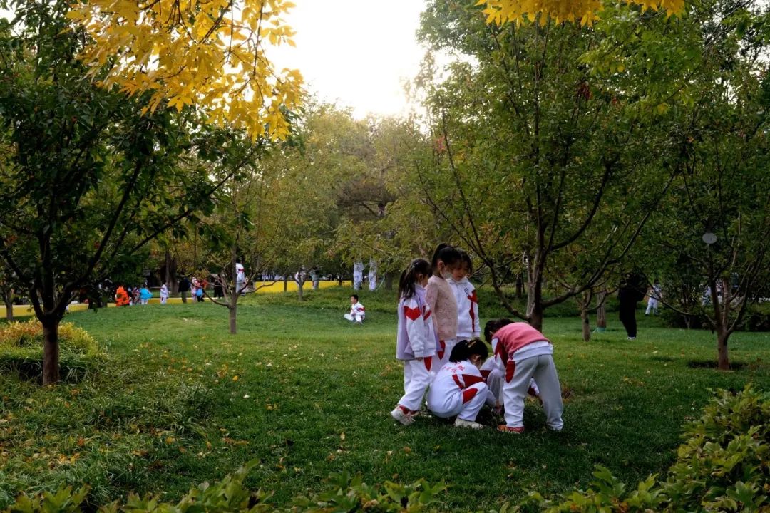 经开区9号绿地景观提升项目(海棠公园)丨中国北京丨北林地景-19