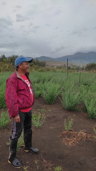 A--D -- Ananda EcoAldea: Creating Sustainable Communities-94