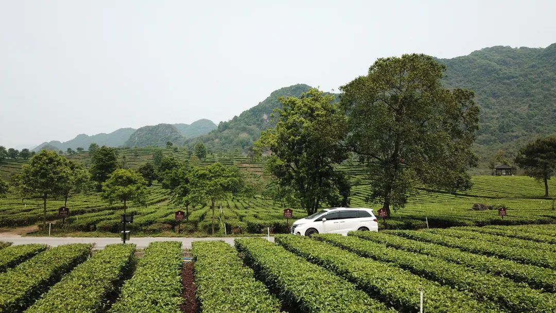 大地艺术探索 | 重建自然与生活的诗意-21