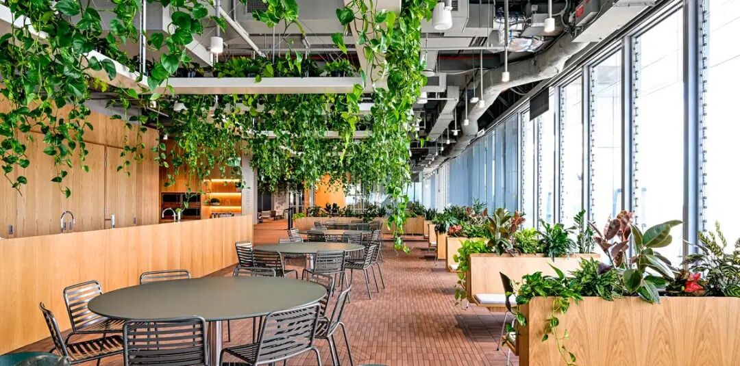 澳洲养老基金ART布里斯班总部丨澳大利亚布里斯班丨Cox Architecture-26