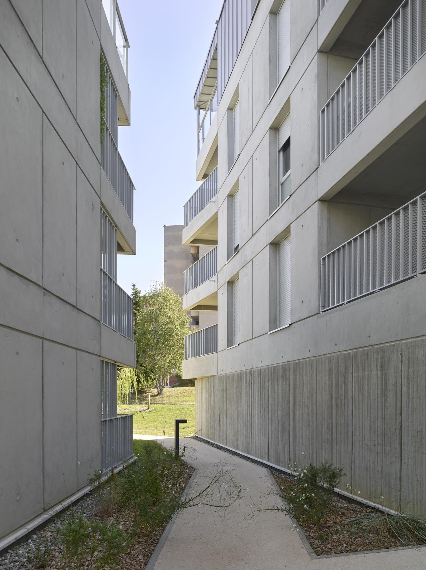 Jardins de Pouvourville 住宅综合体丨法国图卢兹丨Taillandier Architectes Associés-44