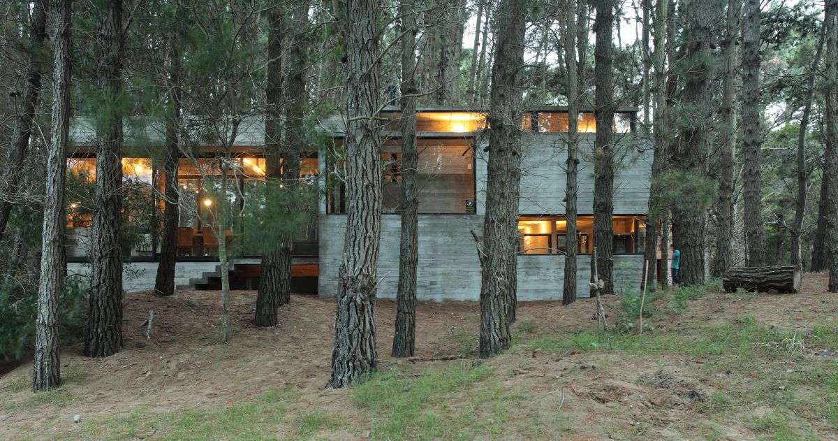 阿根廷森林中的雪儿别墅-1