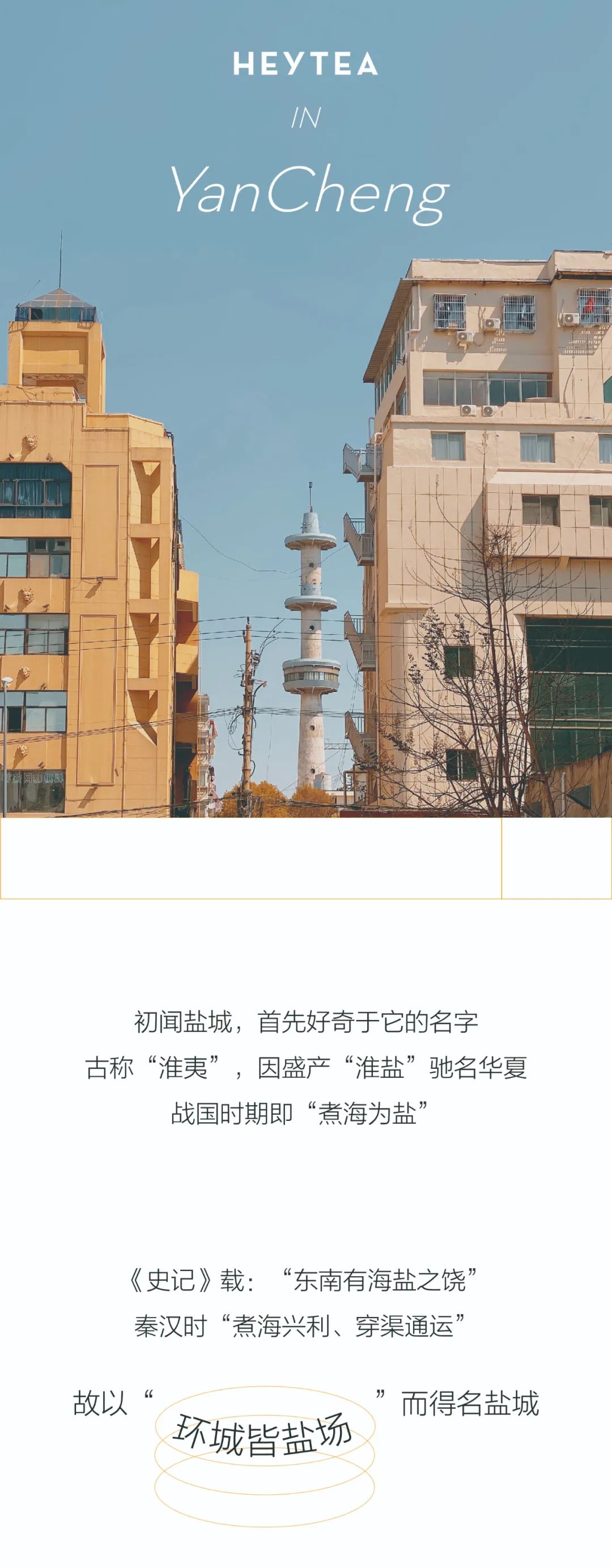 喜至盐城，茶香袅袅-0