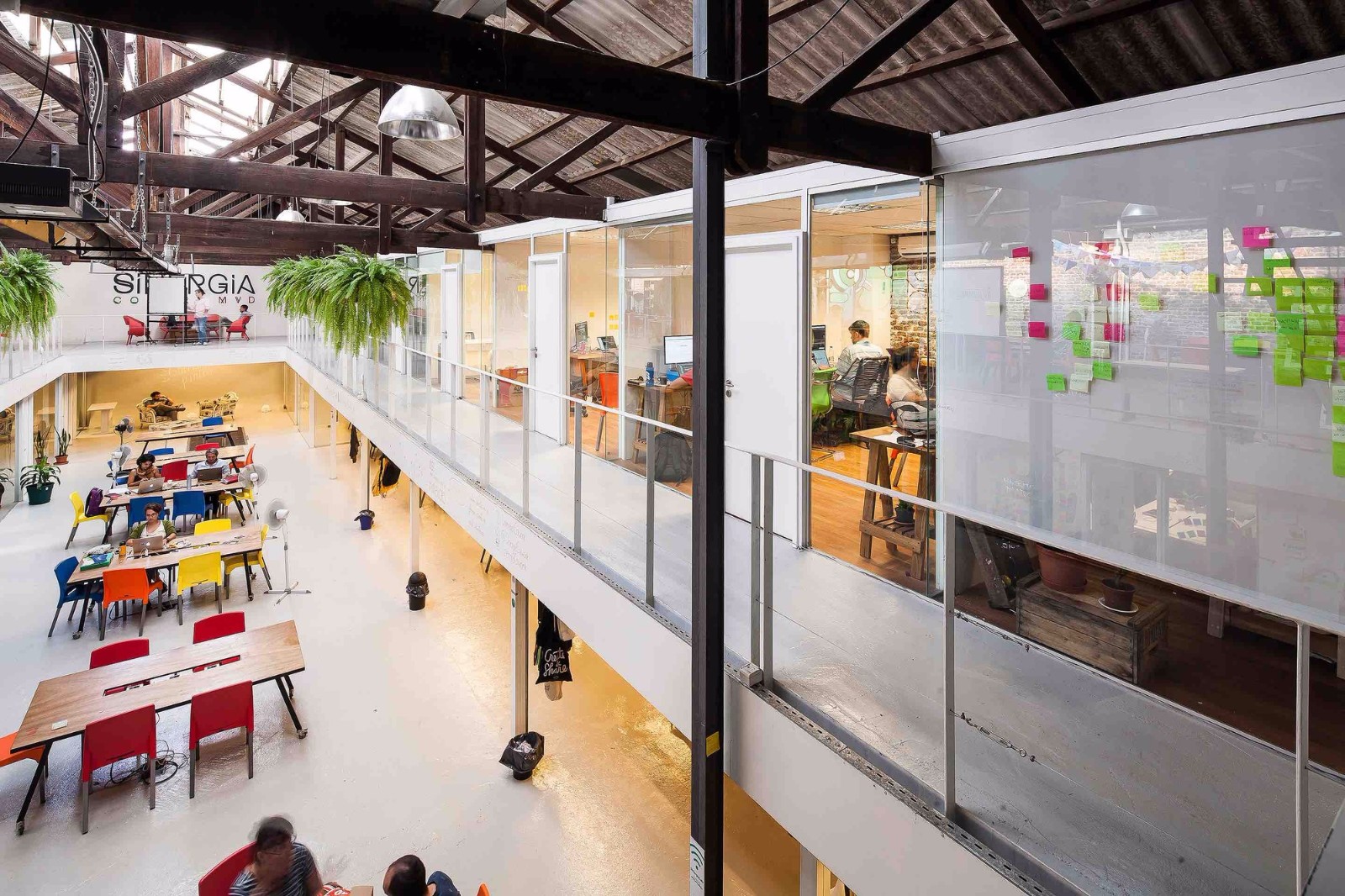 乌拉圭 Palermo 联合办公室设计-9