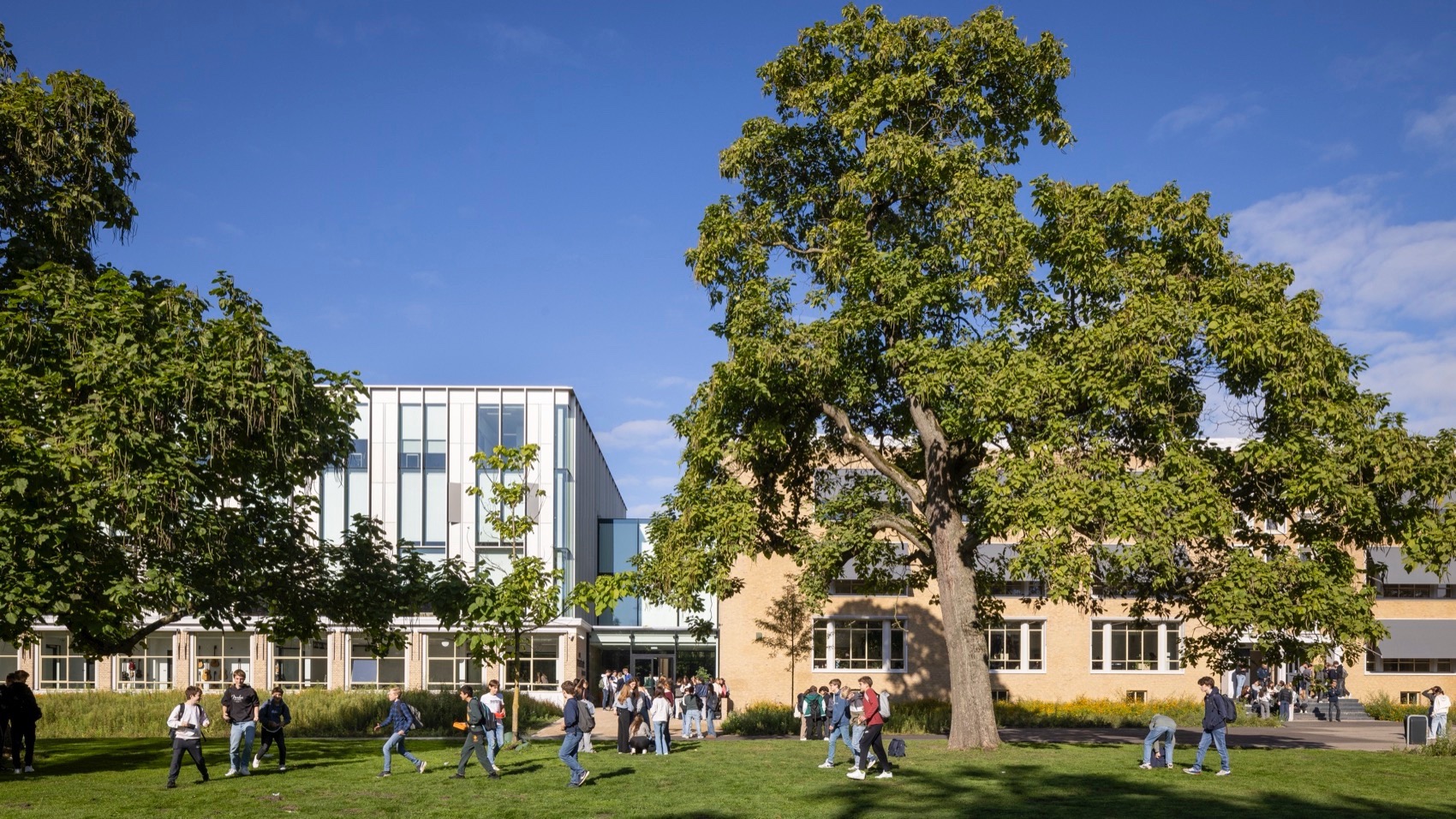 Van Maerlantlyceum 中学修复更新丨荷兰-5