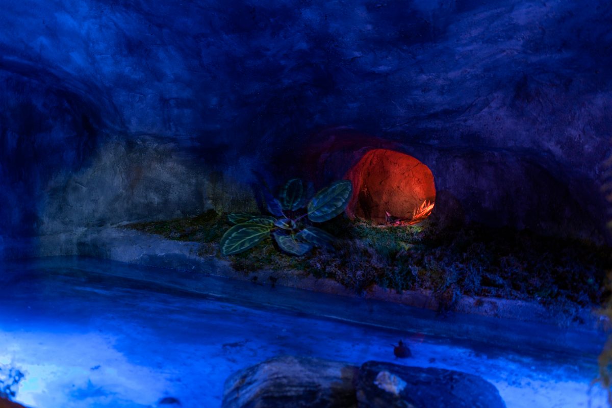 주렁주렁 하남점 인테리어 - 인테리어 디자인 회사 디자인다나함-21