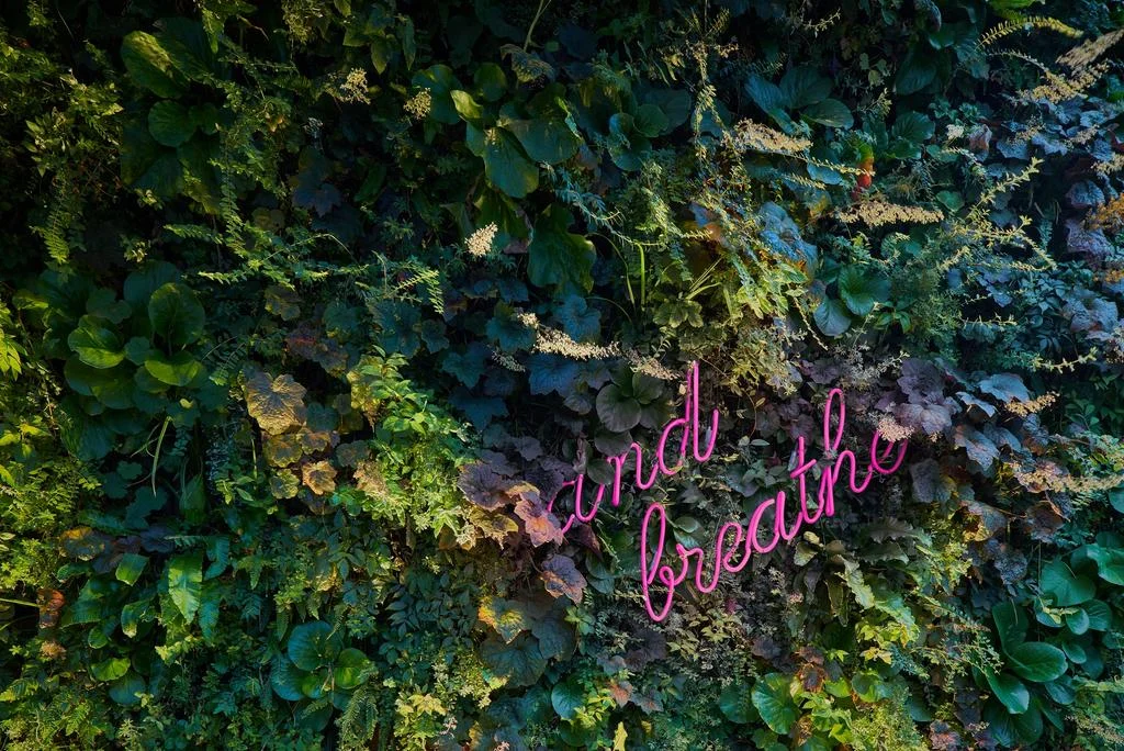 金普顿德维特酒店丨荷兰阿姆斯特丹-50