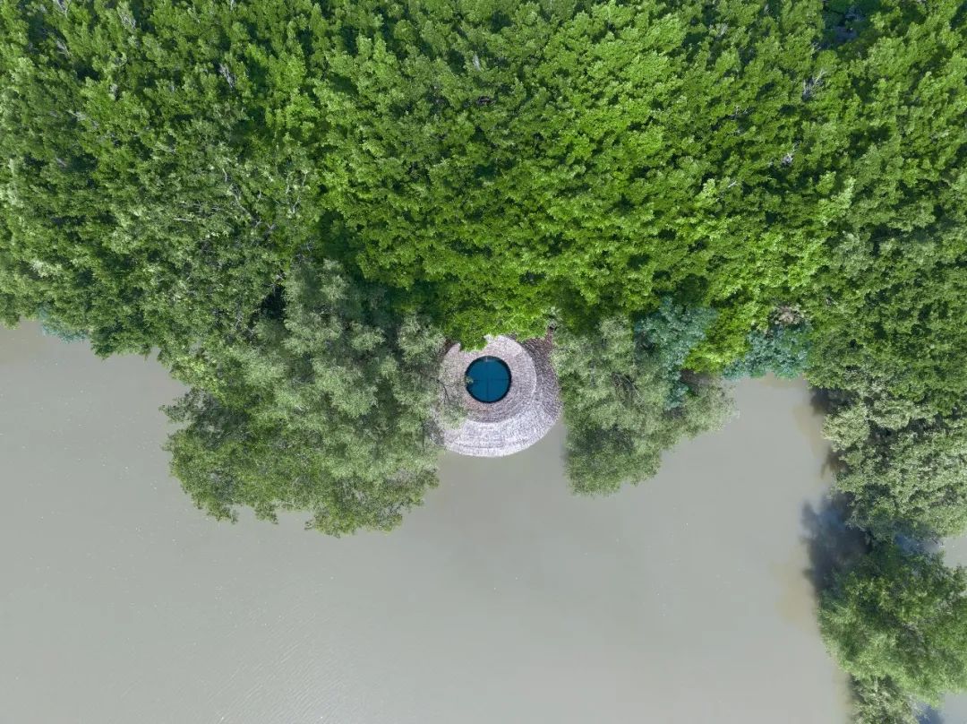 南沙湿地观鸟艺术竹构丨中国广州丨竖梁社,华南理工大学建筑学院-38