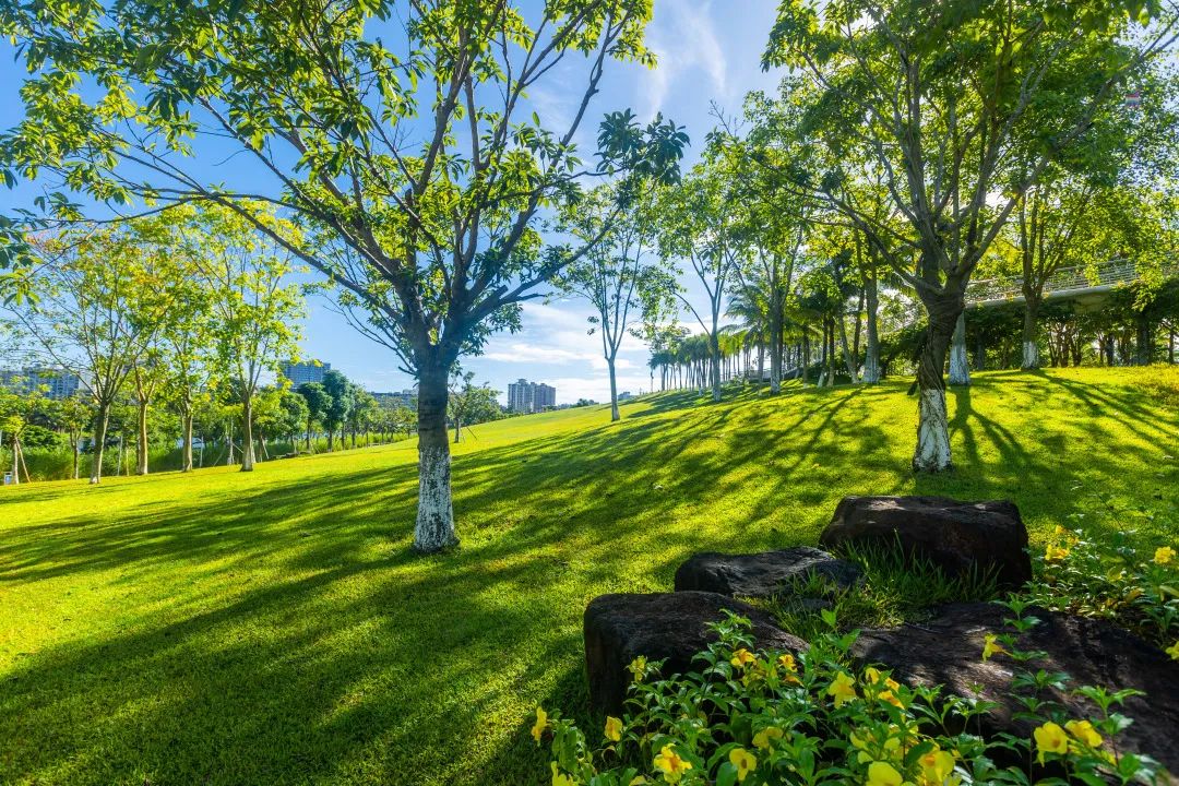 海口市美舍河凤翔湿地公园丨中国海口丨土人设计-69