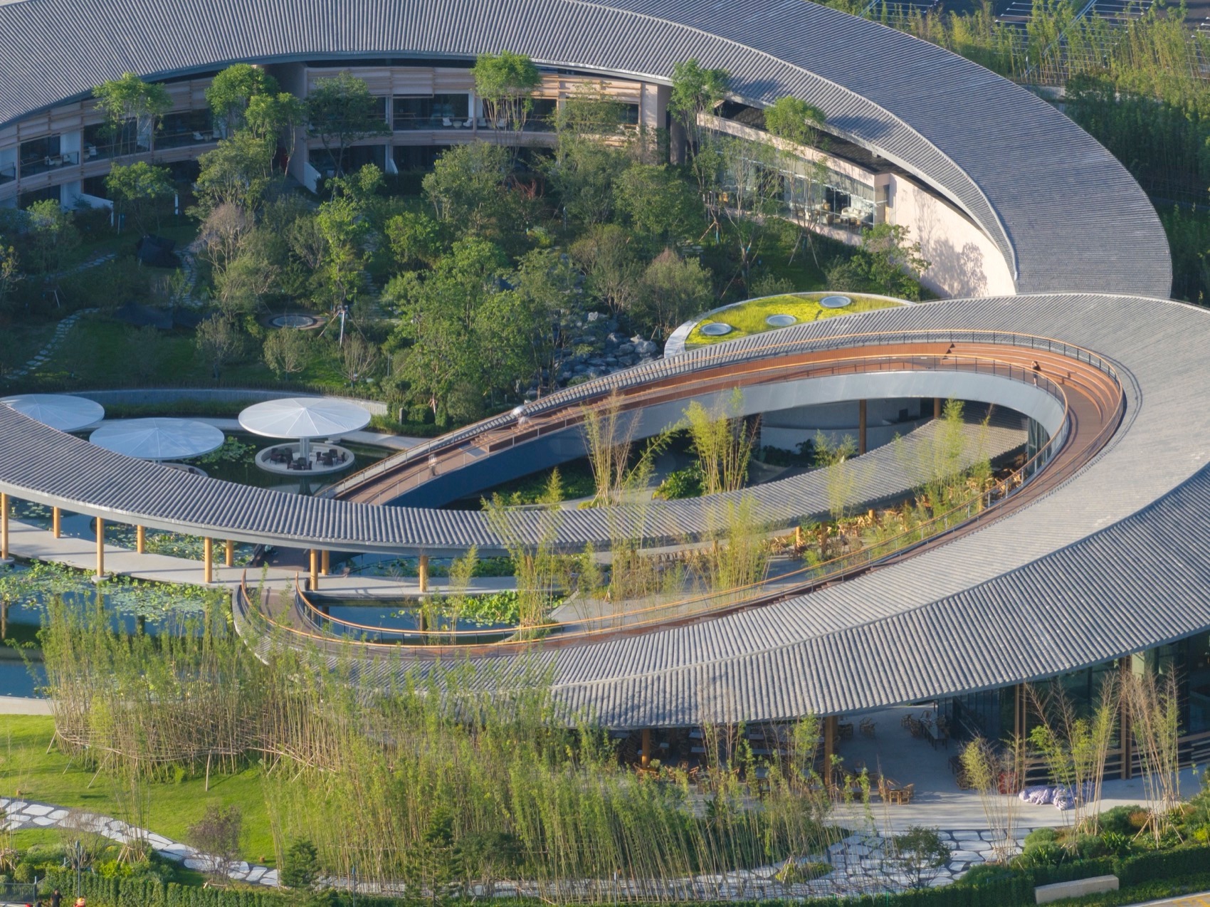 2024年成都世界园艺博览会园区项目  天府人居馆丨中国成都丨中国建筑西南设计研究院有限公司-6