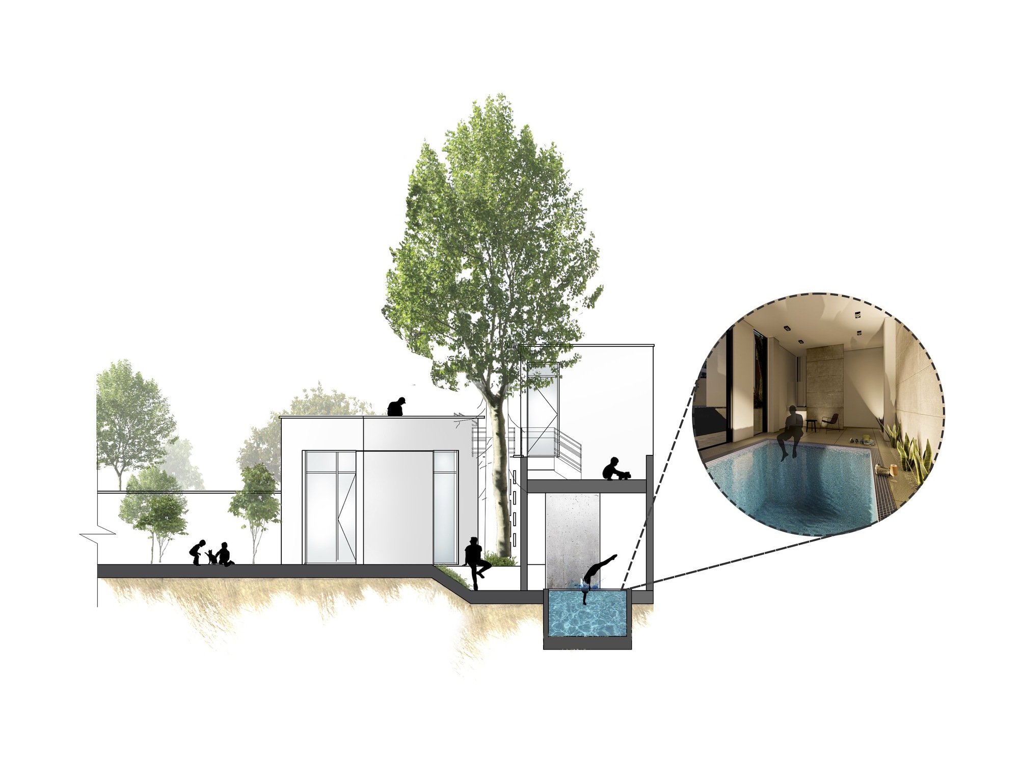 树屋别墅丨伊朗丨Rosha Office-10