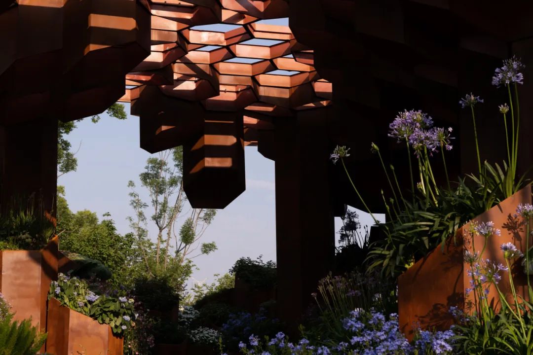 2023德阳市花月季展德阳园 | 齿轮花园-44