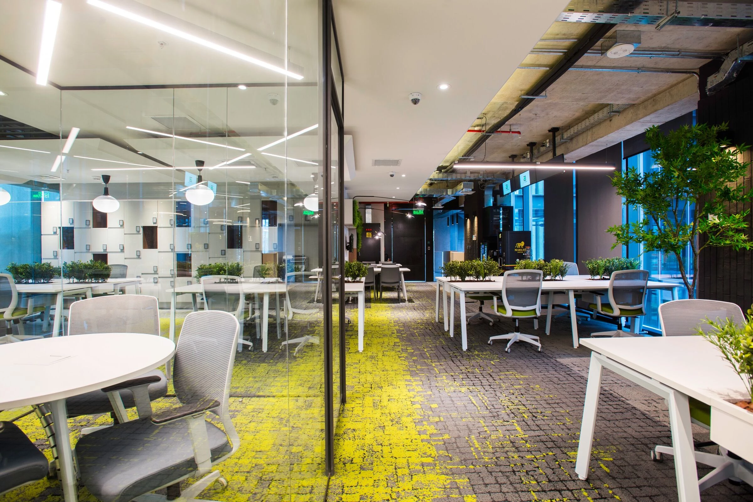 智利圣地亚哥 Grupo Patio 办公室·人性化,灵活,创新设计-14