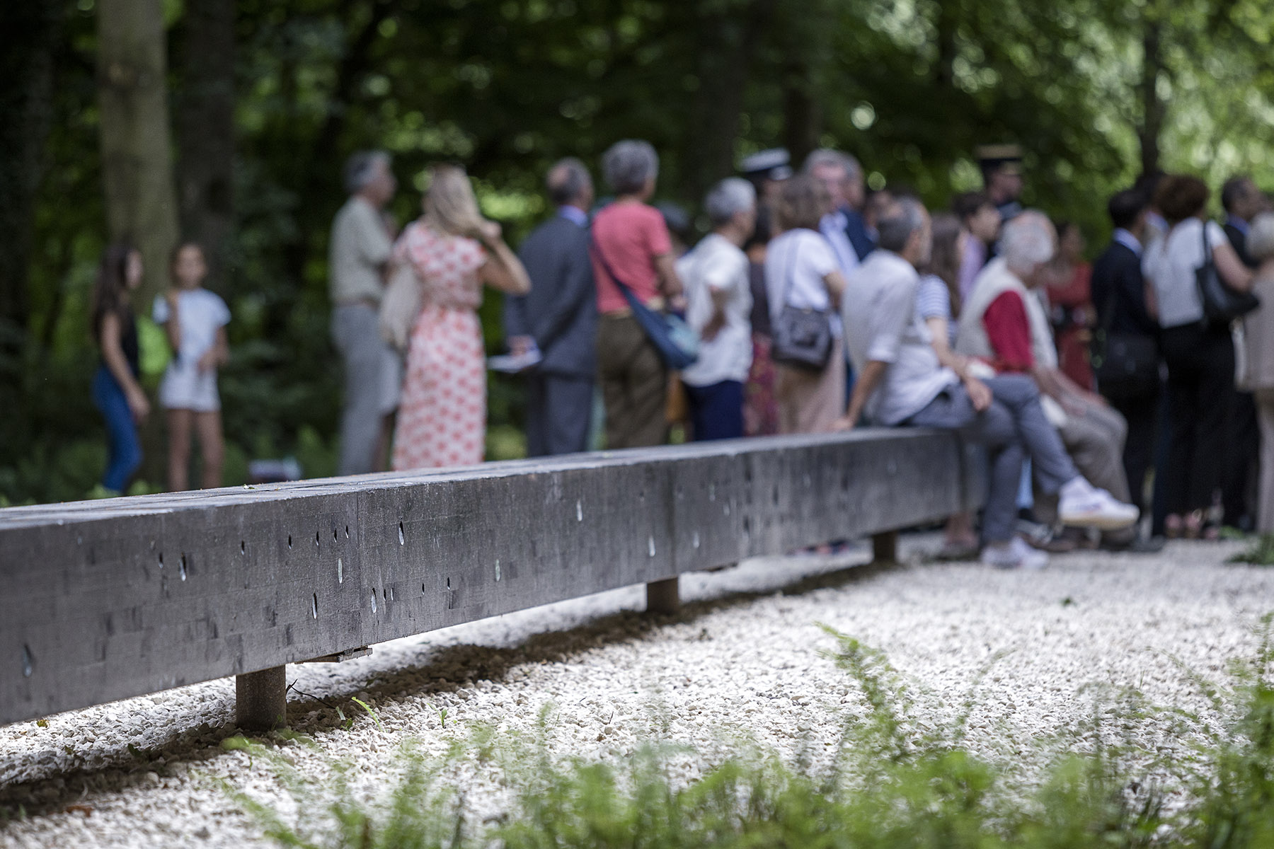 第三列车花园的镜像长凳丨法国-27