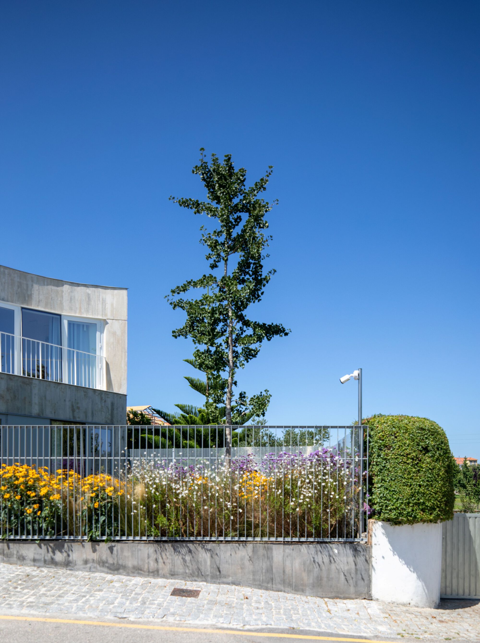 城市公园住宅丨葡萄牙丨Nelson Resende Arquitecto-41