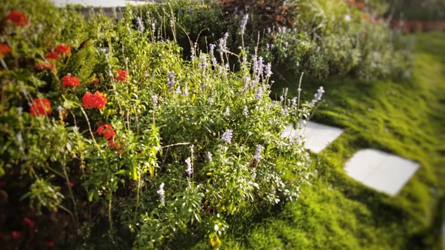 深圳龙华绿廊公园三期丨中国深圳-130