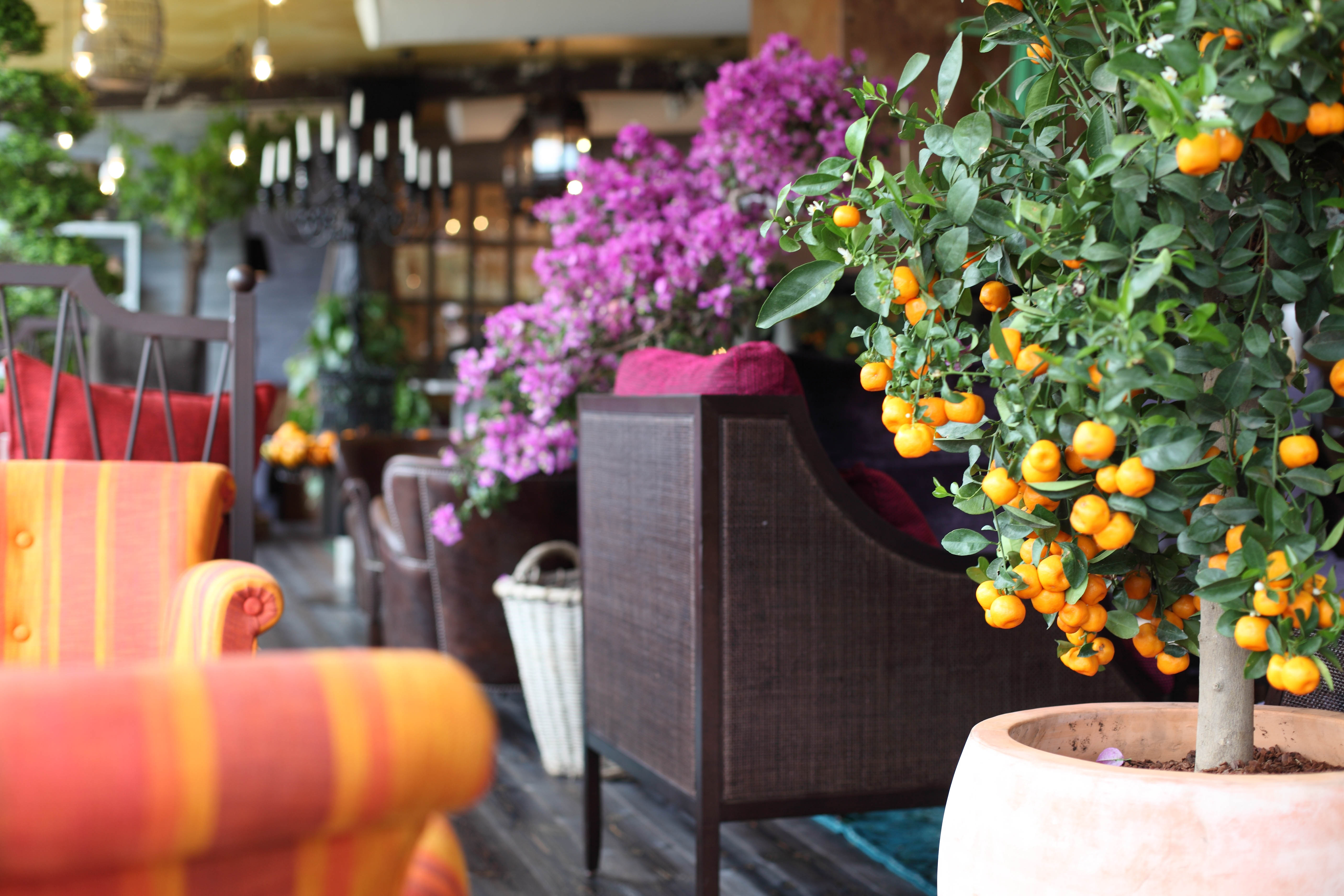 Orangeriet | Stylt Trampoli AB-6