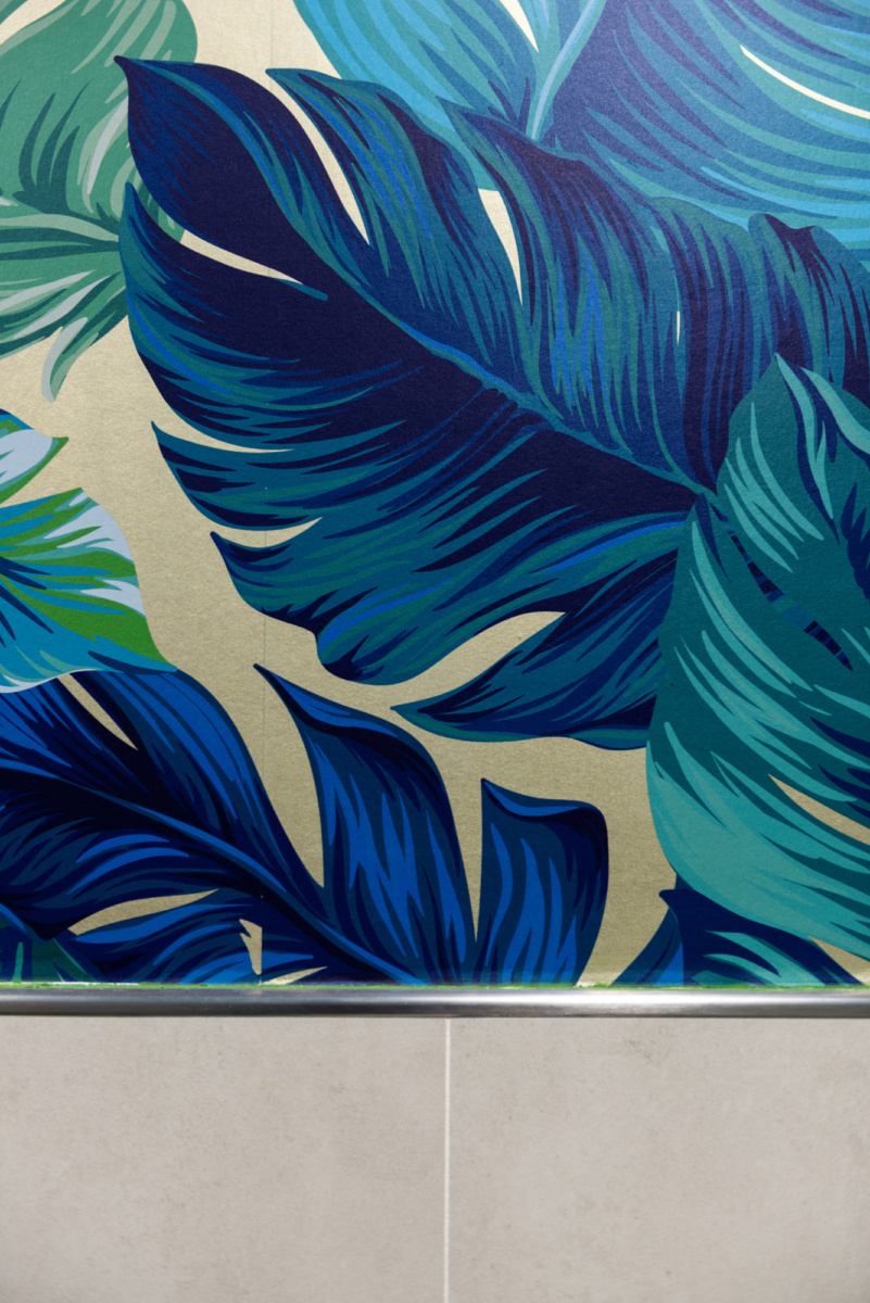 迪拜 Regent 国际学校行政区的革新设计-16