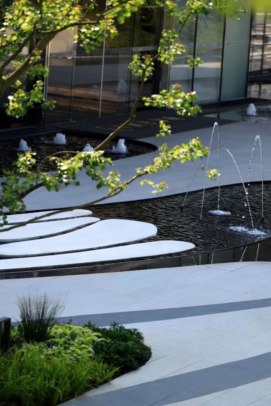 金小瑞的自然探索之旅 | 金辉·优步学府-53