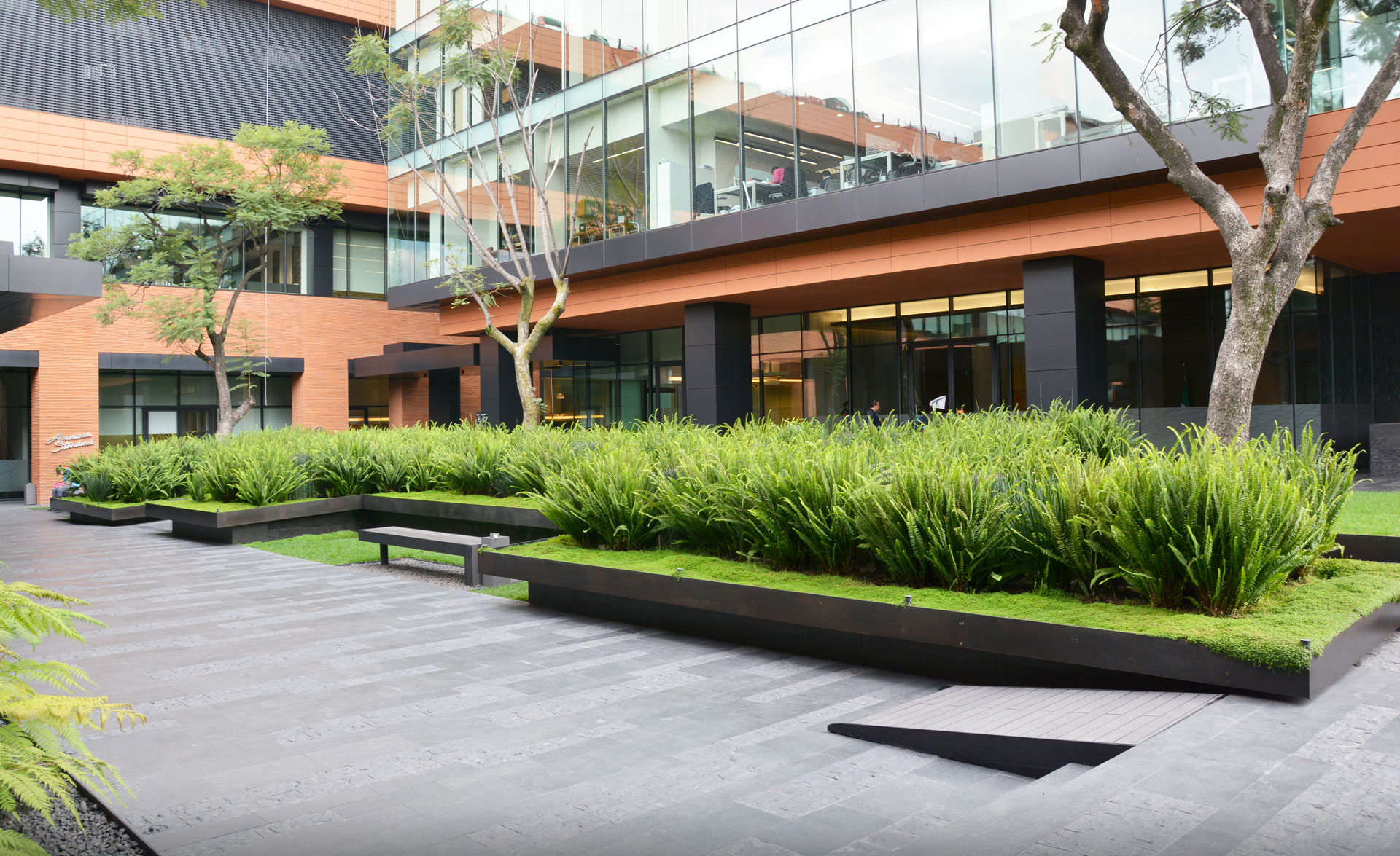 墨西哥城 Coyoacán 企业园区景观设计-0