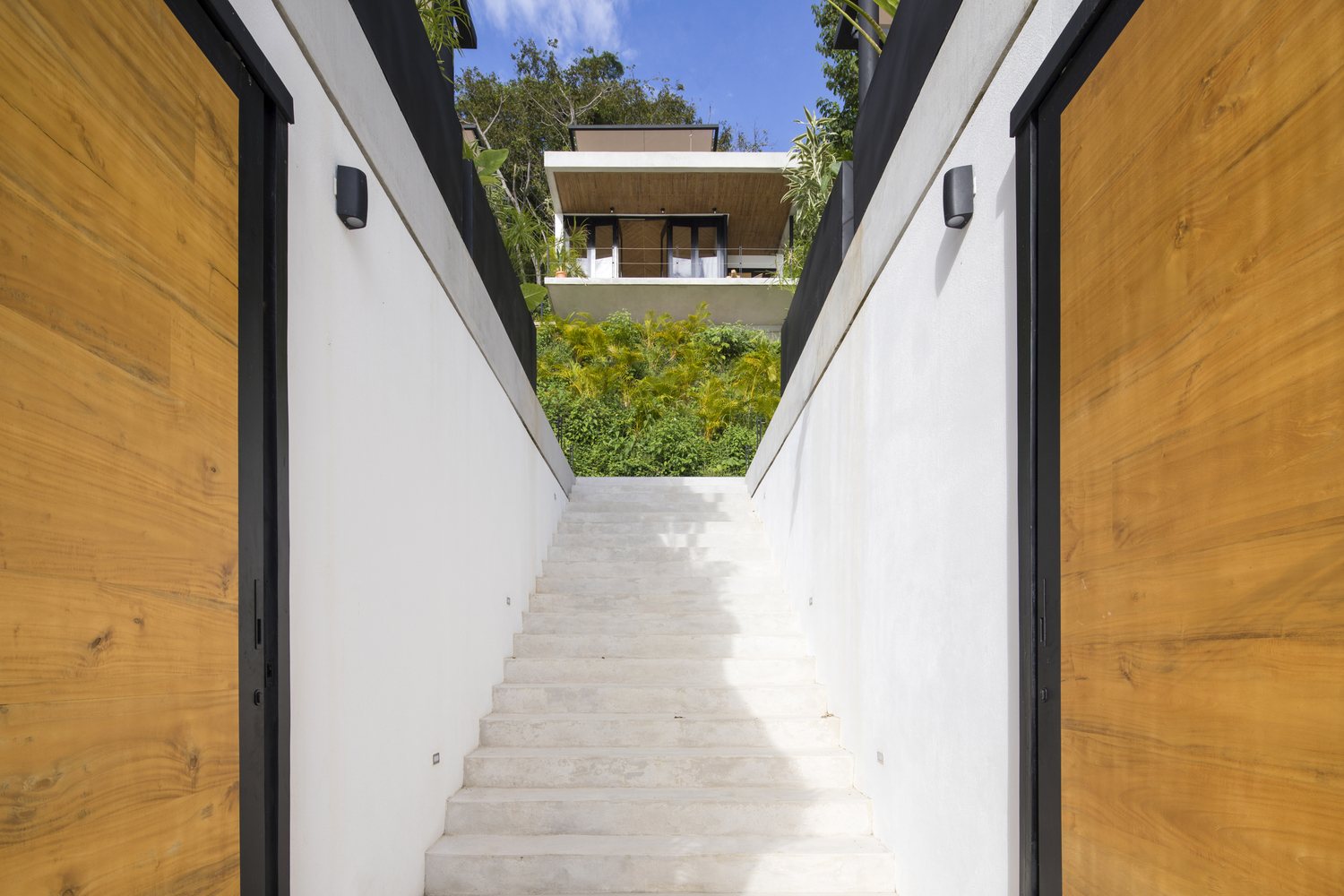 Mint Santa Teresa  Studio Saxe-40