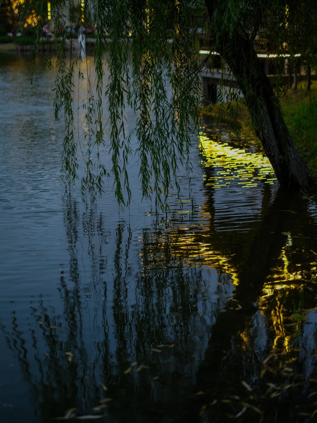 江阴锦艺·天鹅湖公园丨中国无锡丨深圳市喜喜仕景观及建筑规划设计-26