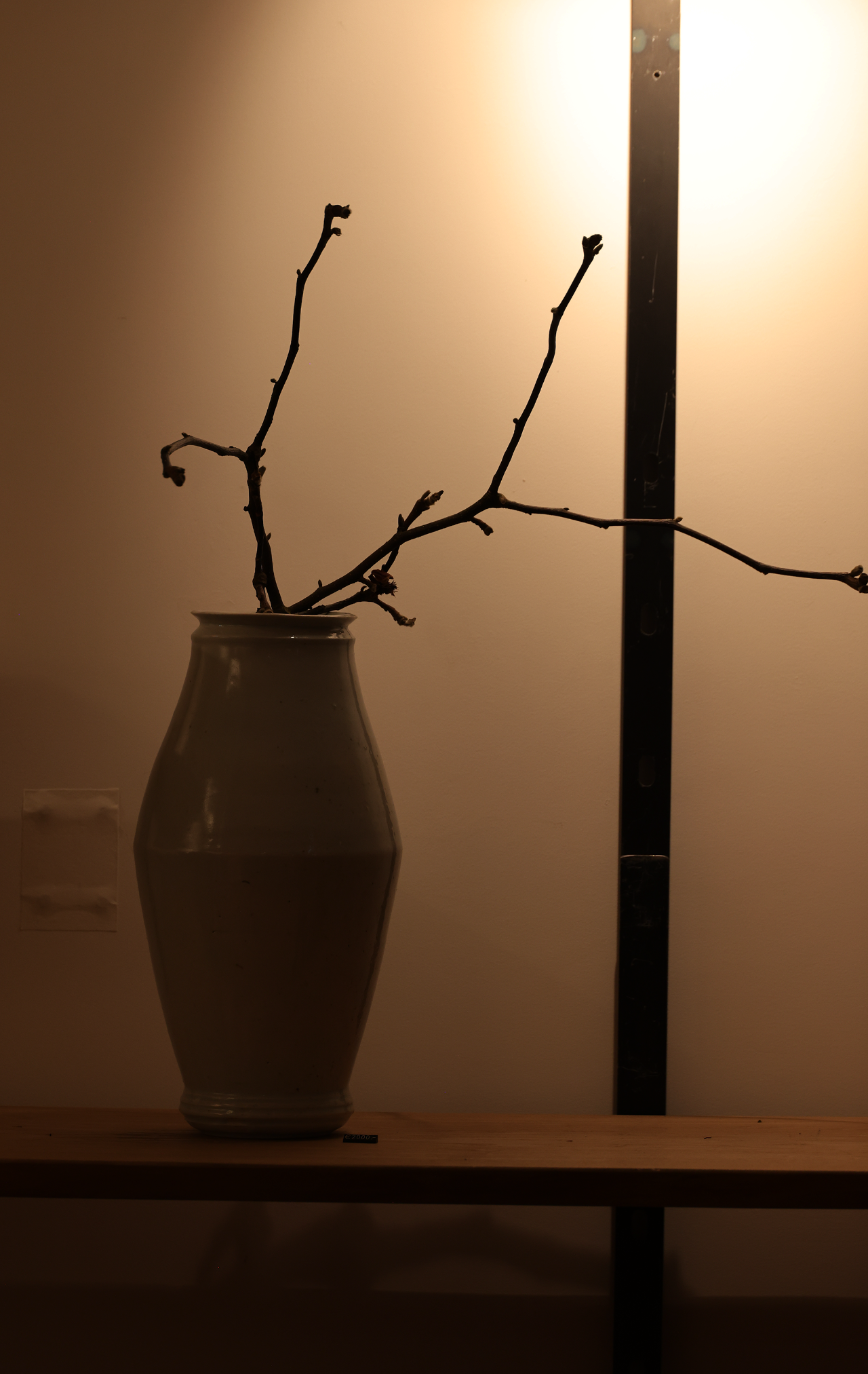 巴黎 OGATA丨法国巴黎丨绪方慎一郎-130