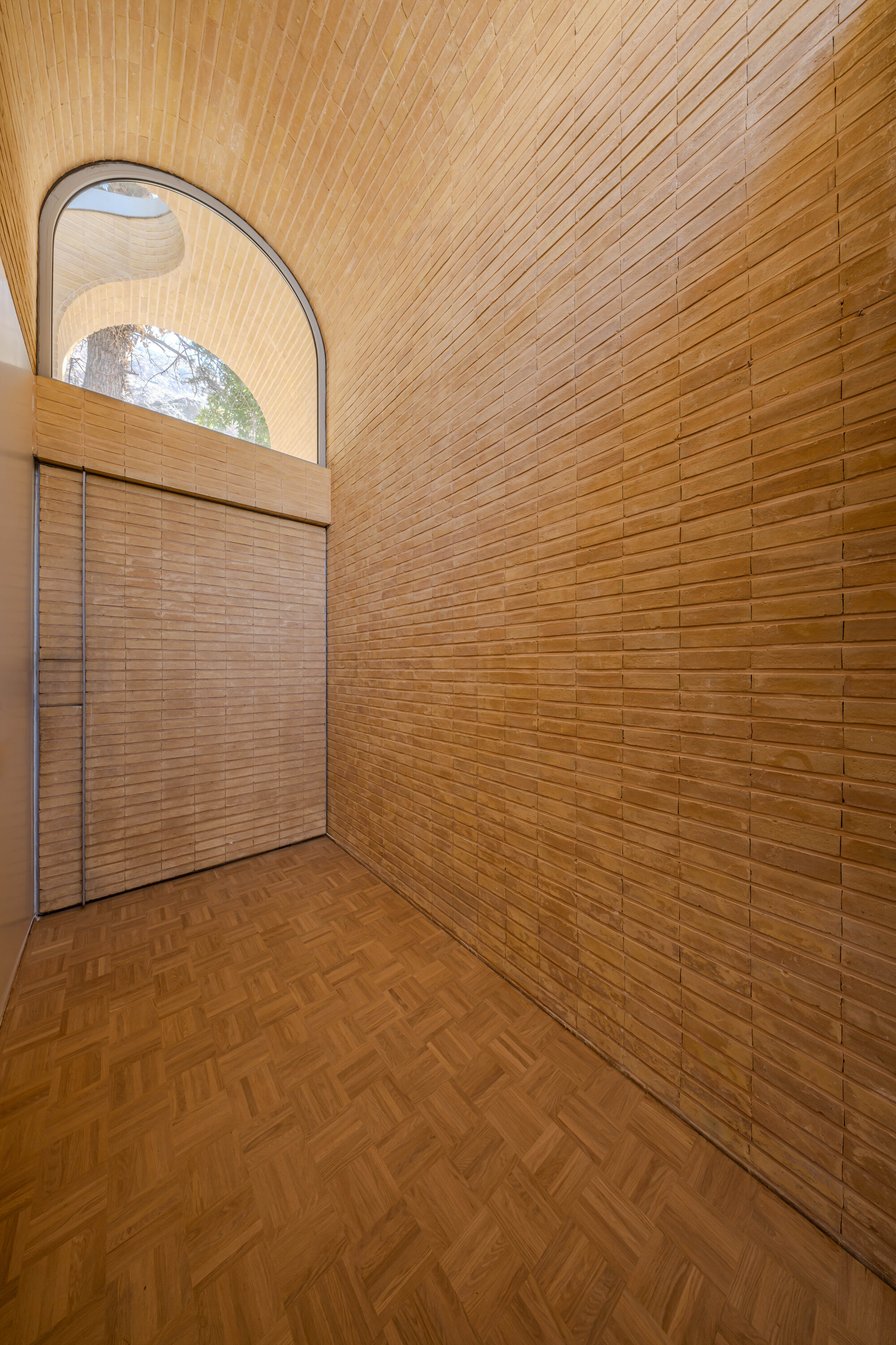 A House Looking to A Cedrus Tree / Cedrus Studio-31