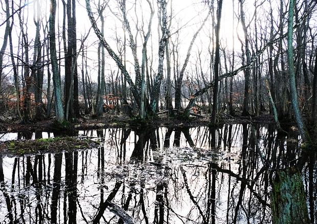 古勒城堡废墟 听(注:LYTT在丹麦语里有听的意思 ,Gurre Slotsruin 是丹麦的古勒城堡废墟) 丨Jacob Fischer,Maria Kristoffersen-25