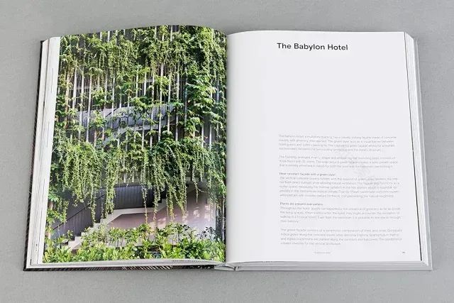 蜜悦·圣托里尼海景度假酒店丨中国惠州丨埂上设计-99