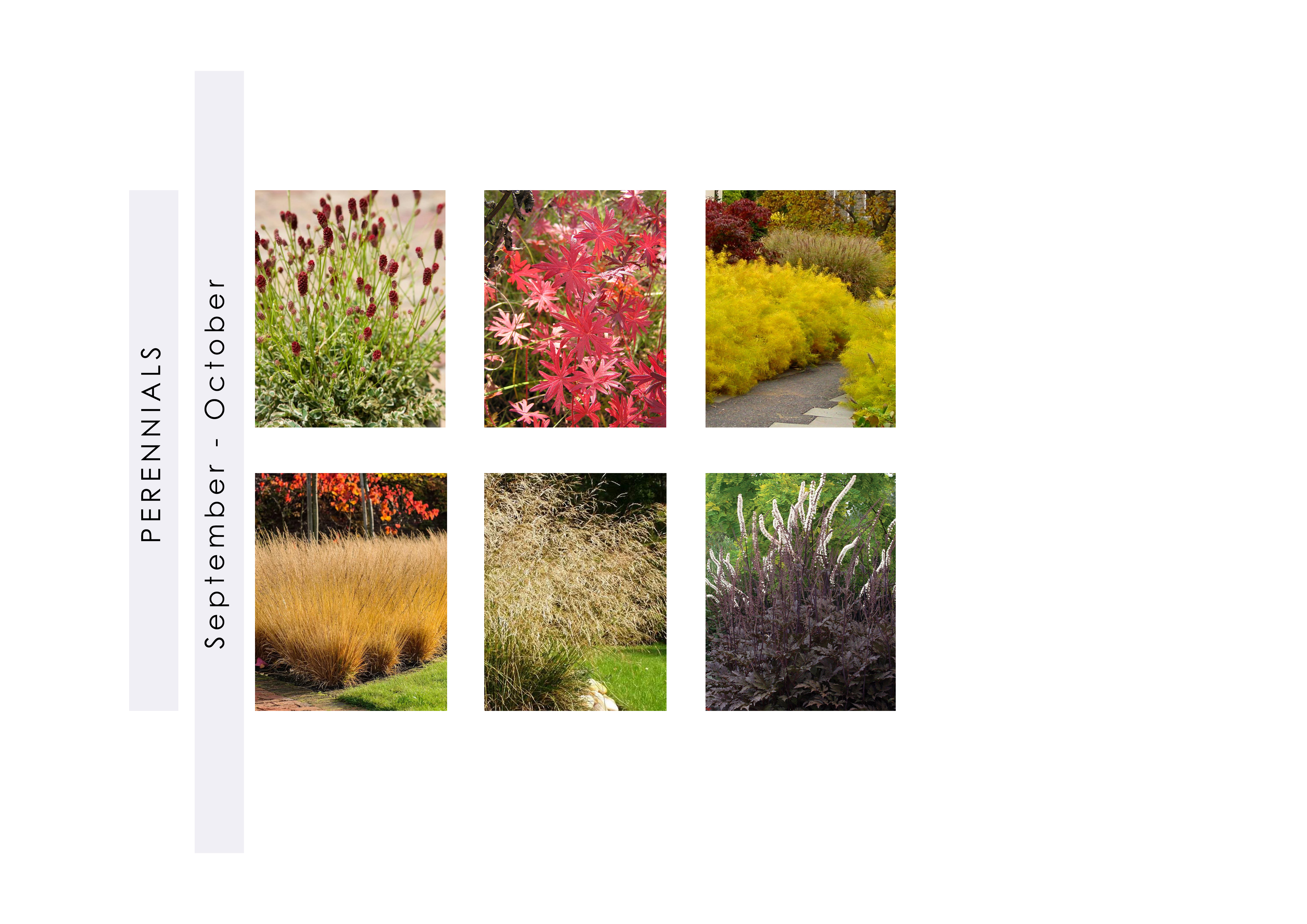 Private garden, 2023-14