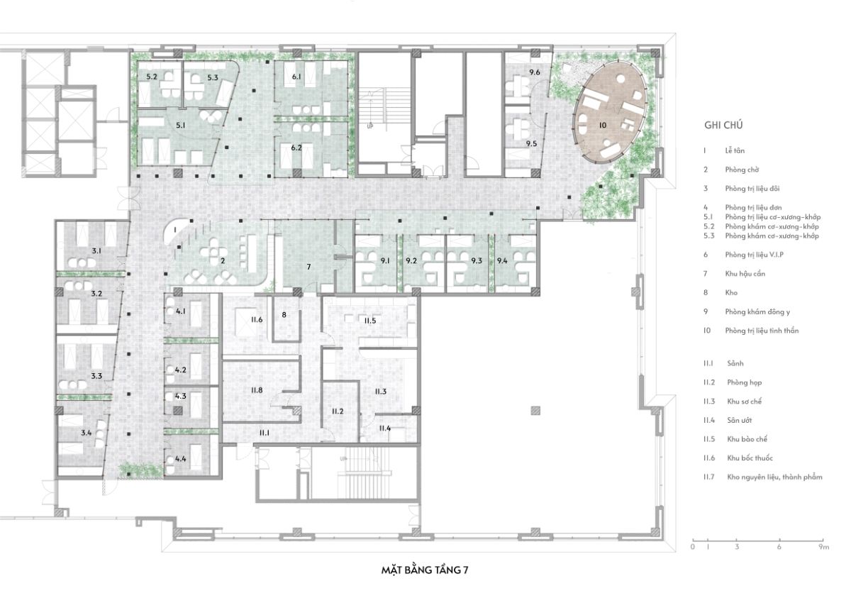 现代越南风格 YHCT 诊所设计,融合自然人文元素-2