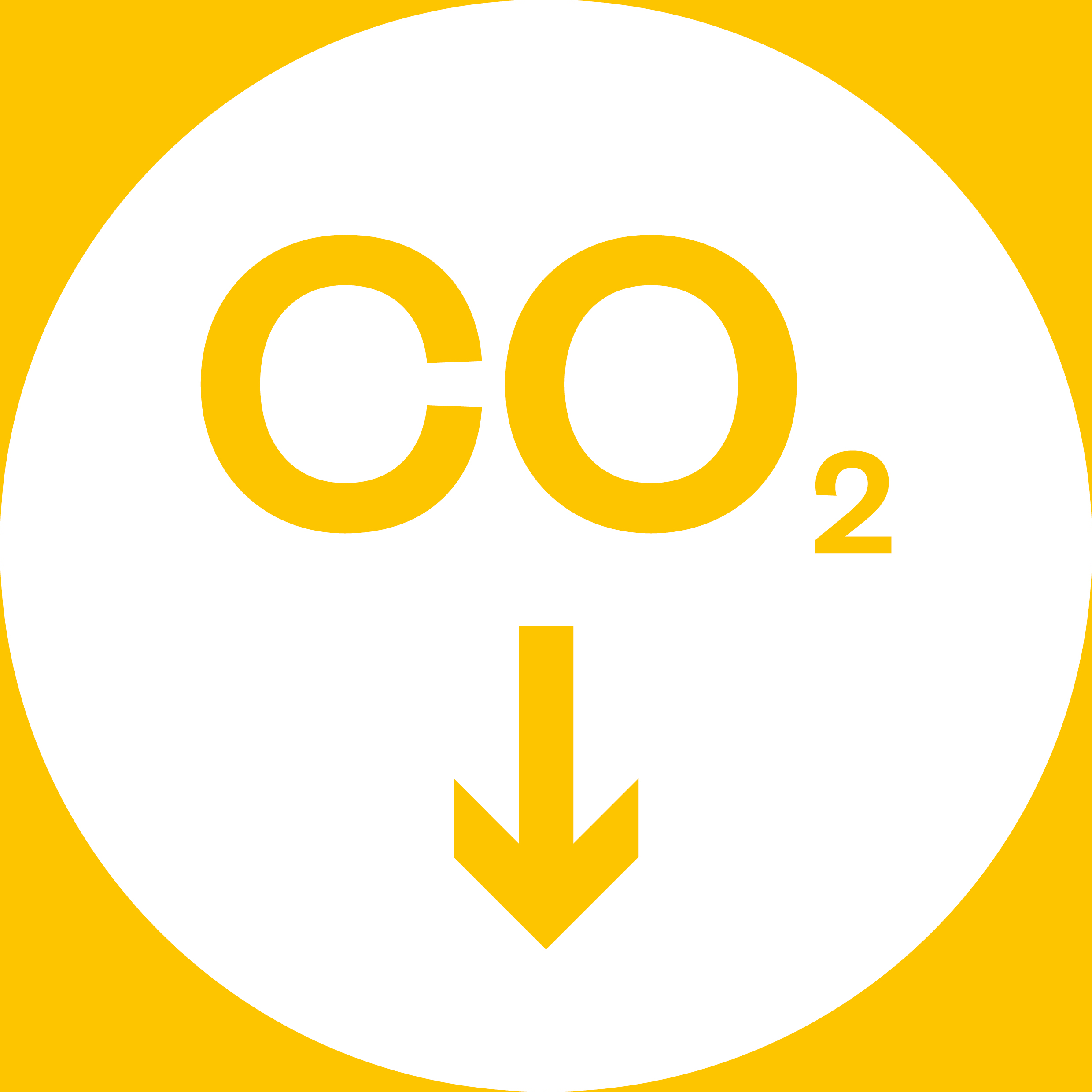 丨Levitt Bernstein-22