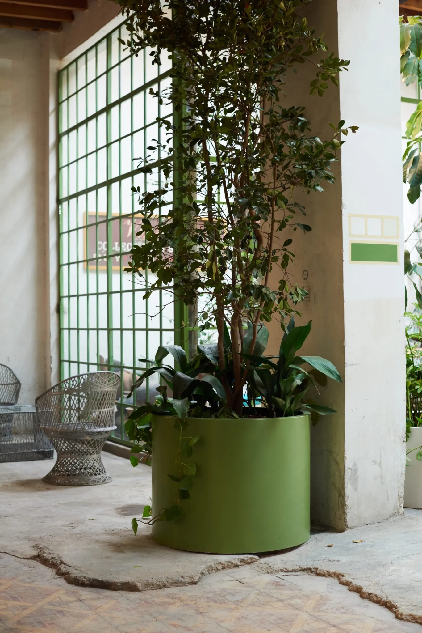 墨西哥城市公共景观-16