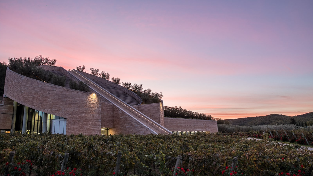 Petra 酒庄丨意大利丨马利奥·博塔-11