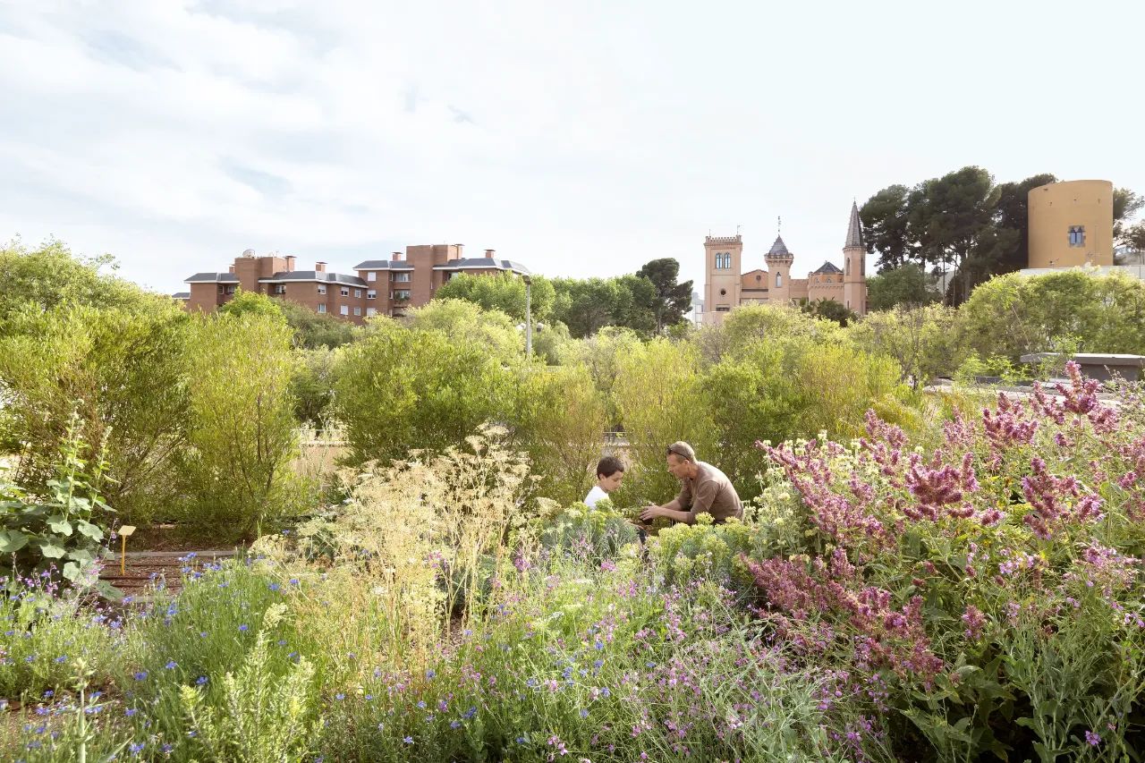 隐匿私宅,精神的乌托邦丨西班牙巴塞罗那丨SOG design-14