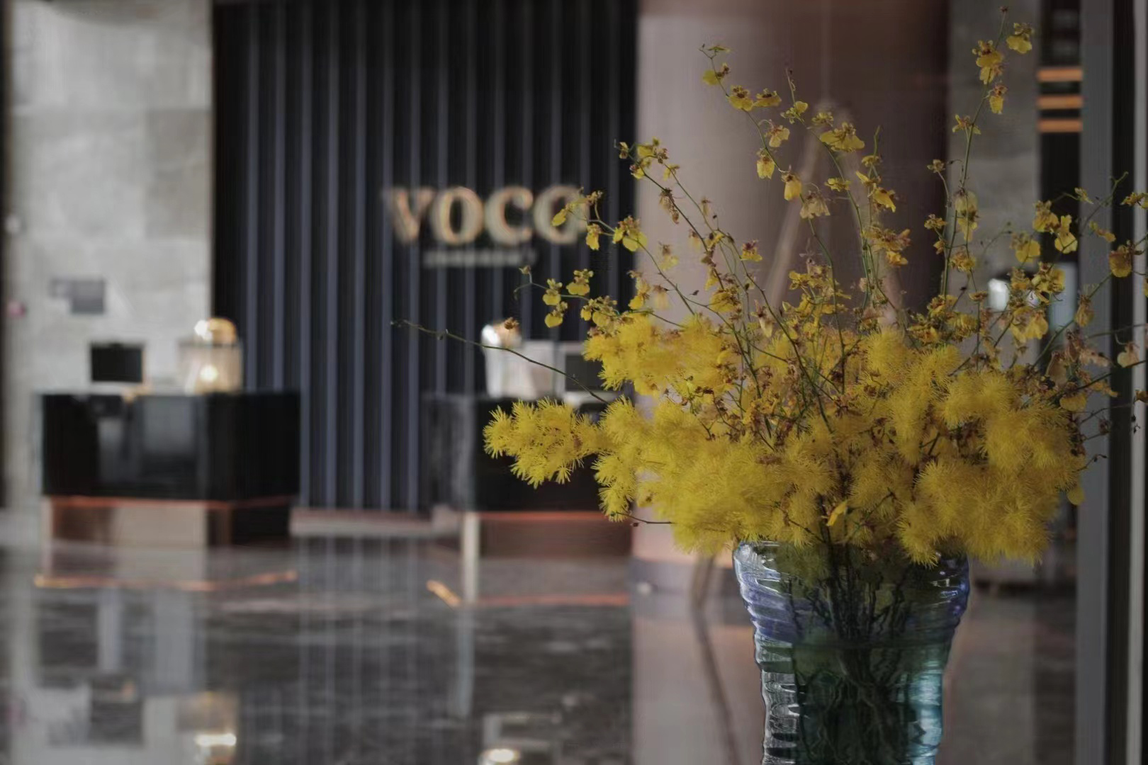 voco Hefei 宴会厅-2