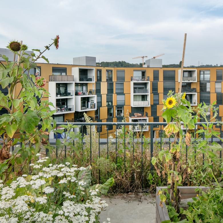 奥阿西斯克里西耶区丨瑞士丨Bauart Architekten und Planer AG-11