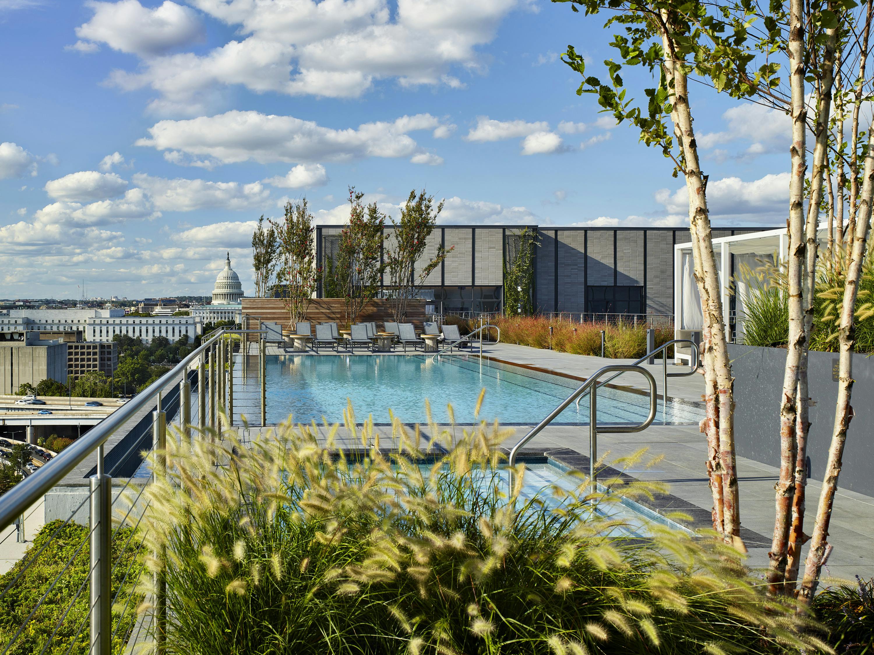 丨美国华盛顿丨Morris Adjmi Architects-17